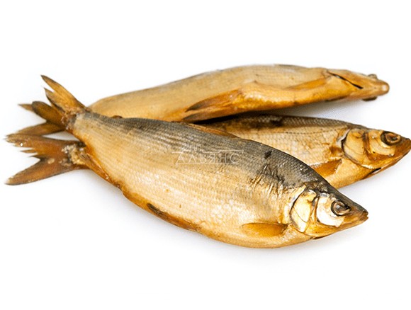Всё о рыбе Пеляди: вкусовые качества и характеристики